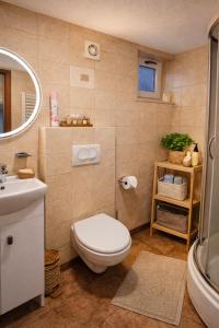 a bathroom with a toilet and a sink at Apartamenty Starka - aneks kuchenny, trasy spacerowe, szlaki turystyczne, pobyt z psem in Wisła