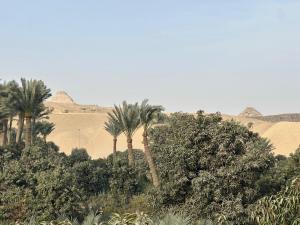 a view of the desert with palm trees and hills at Ancient Bakyard Guesthouse in Abū Şīr +4 photos