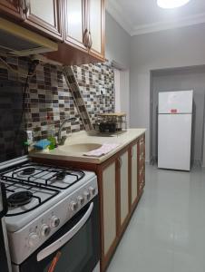 a kitchen with a stove and a sink and a refrigerator at Camel Apartment in Antalya