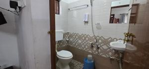 a bathroom with a toilet and a sink at Brighton Hostel Stays in Sultan Bathery +21 photos