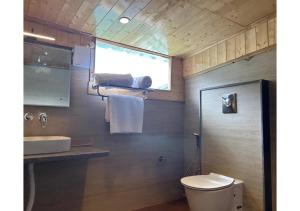 a bathroom with a toilet and a sink at The Riviera Hotel Pahalgam in Pahalgām