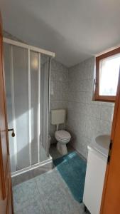 a bathroom with a shower and a toilet and a sink at Apartment House Liznjan in Ližnjan