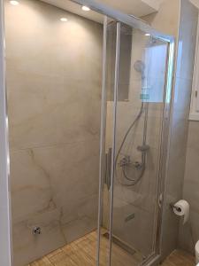 a shower with a glass door in a bathroom at Philly's sea side apartment in Agios Ioannis Pelio +11 photos