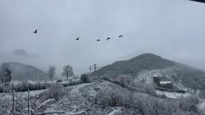 a flock of birds flying over a snow covered mountain at Casa de piedra Siglo XVIII in Badaín