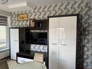 a living room with a black and white cabinet at Garsoniera Soroca in Soroca