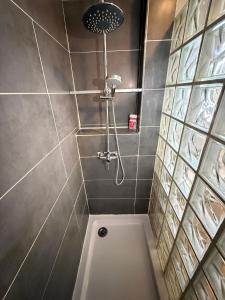 a bathroom with a shower with a bath tub at L'Ecrin du Verdon - T2 avec Balcon in Gréoux-les-Bains