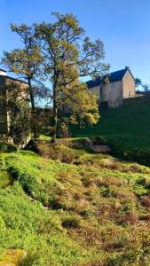 a field with two trees and a house on a hill at L'Amour Toujours in Saint-Julien-le-Petit +12 photos