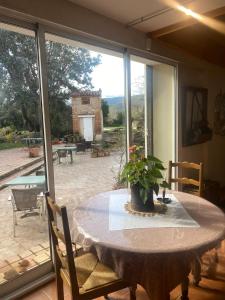 a table with a potted plant on it in a patio at "MAS TRAMONTANE" Maison et Chambres d'hôtes avec vue sur le massif d'El Canigó in Ille-sur-Têt