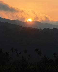 a sunset over a mountain with palm trees in the foreground at Pebbles in Thirunelli