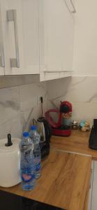 a kitchen counter with two bottles of water on it at Apartment Green Lux in Belgrade