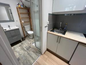 a small kitchen with a sink and a toilet at studio coquet et tranquille in Porquerolles