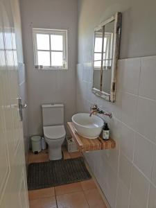 a bathroom with a sink and a toilet and a mirror at Lake Zonk Cottage in Mooiriver