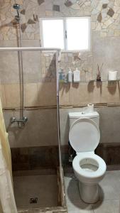 a bathroom with a toilet and a shower with a window at Loft Don Manuel in Trelew