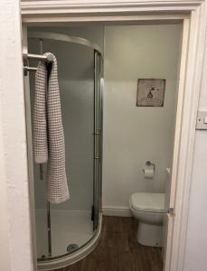 a bathroom with a glass shower and a toilet at Beautiful town-flat with character - Bridge street in Hereford