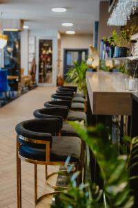a row of bar stools in a room with plants at Hotel Cristal Park in Tarnów