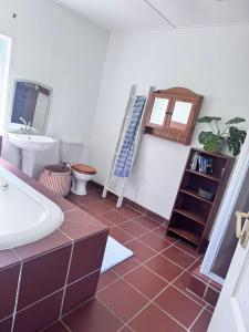 a bathroom with a sink and a toilet and a mirror at Scafell homestead, Cobham, Himeville in Ixopo +51 photos