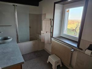 a bathroom with a sink and a shower and a window at La P'tite Chaumiere in Domaize +3 photos