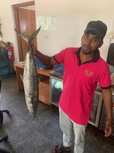 a man holding a large fish in his hand at Rose Lagoon Hotel in Vakarai