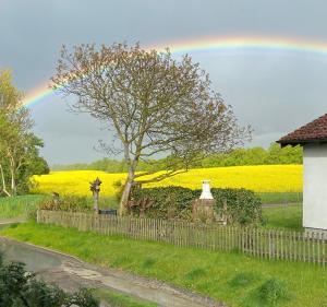 a rainbow over a field of yellow rapeseed at Haus Feldblick auf Rügen in Garz