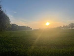 a sunrise in a field with the sun in the sky at Haus Feldblick auf Rügen in Garz