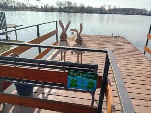 two rabbits are standing on a dock at BékaLak Vendégház in Ráckeve