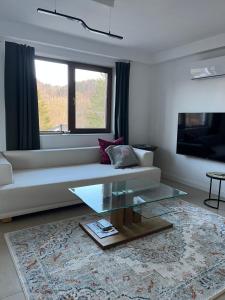 a living room with a white couch and a glass table at Studio Donau Radweg-Passau 4 km - Klimaanlage, Parkplatz kostenlos, DONAUErlebnis Card in Hinding