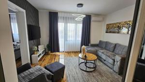 a living room with a couch and a table at Stan na dan Pancevo 3 in Pančevo