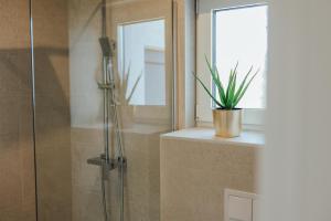 a shower in a bathroom with a potted plant at Villa Saint Hill in Međugorje +18 photos