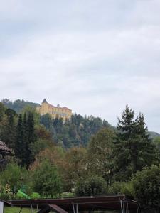 a house on top of a hill with trees at Center- Podčetrtek in Podčetrtek