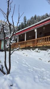 a train in the snow next to a tree at The magic meadows in Kulu +7 photos