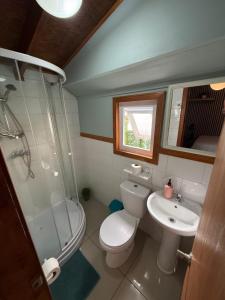 a bathroom with a toilet and a shower and a sink at Hostal Senderos del Sur in Freire +11 photos