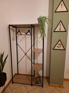 a glass shelf in a room with a plant at Ostello di Lussello in Villadeati