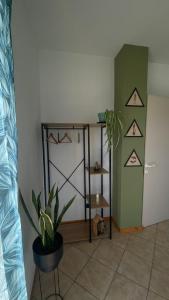 a room with a potted plant and a shelf at Ostello di Lussello in Villadeati +26 photos