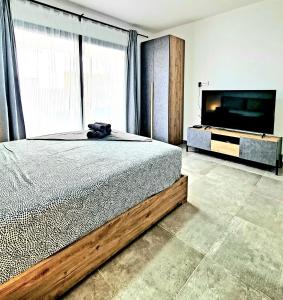 a bedroom with a bed and a flat screen tv at Praça do Presidente in Santa Maria