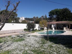 a yard with a swimming pool and a house at logement indépendant au calme proche toutes commodités et transports in Le Cannet +4 photos