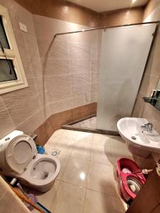 a bathroom with a toilet and a sink at Monument Pyramids View in Cairo