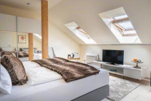 a bedroom with a bed and a tv and skylights at Fischerhaus in Moosburg
