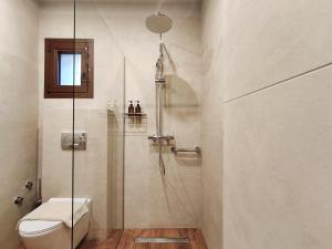 a bathroom with a shower stall and a toilet at Meteora Gaia in Kastraki +14 photos