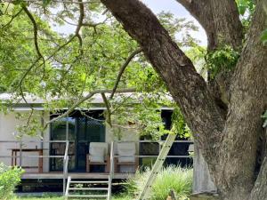 a house with white chairs and a tree at Feng Shui Sugarcane Cabin in Proserpine