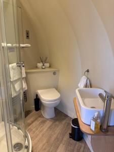 a bathroom with a toilet and a sink at Glenarm Castle Ocean View Pods in Glenarm +34 photos