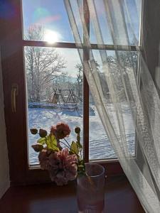 a window with a vase with flowers in front of it at Farma U Nýdrlů in Stará Červená Voda