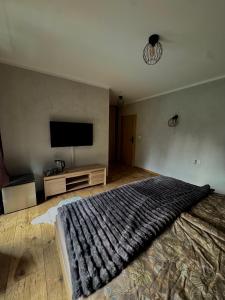 a bedroom with a large bed and a flat screen tv at Penzion Bašta in Bílina +13 photos