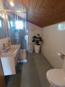 a bathroom with a toilet and a sink and a shower at Casa María 3 in Barcia +14 photos