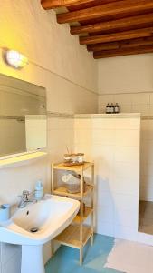 a bathroom with a sink and a mirror at Captains Garden House in Katavatí