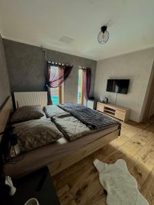 a bedroom with a large bed and a television at Penzion Bašta in Bílina