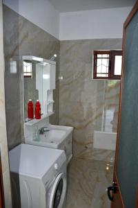 a bathroom with a washing machine and a sink at Vila Rrozhani in Mabë