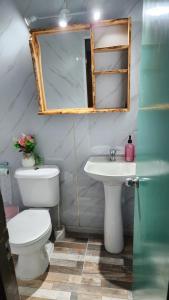 a bathroom with a toilet and a sink at Cabaña La Petita in Cherquenco