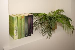 a row of books on a shelf with a plant at Ledy Apartment in Lovere
