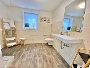 a bathroom with a sink toilet and a mirror at Ferienwohnung Kleinôd Sayn in Bendorf