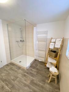 a bathroom with a shower and a glass shower stall at Ferienwohnung Kleinôd Sayn in Bendorf